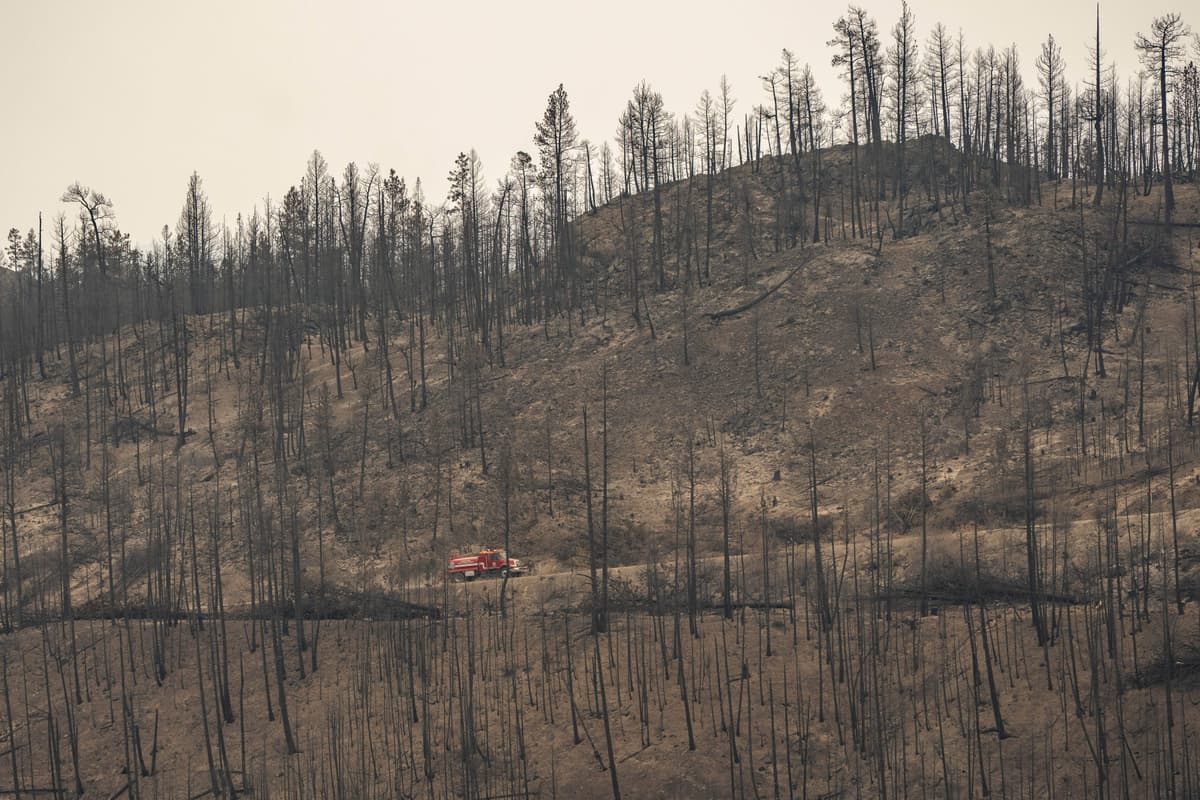 Questions raised about B.C.’s approach to prescribed burns ahead of wildfire season