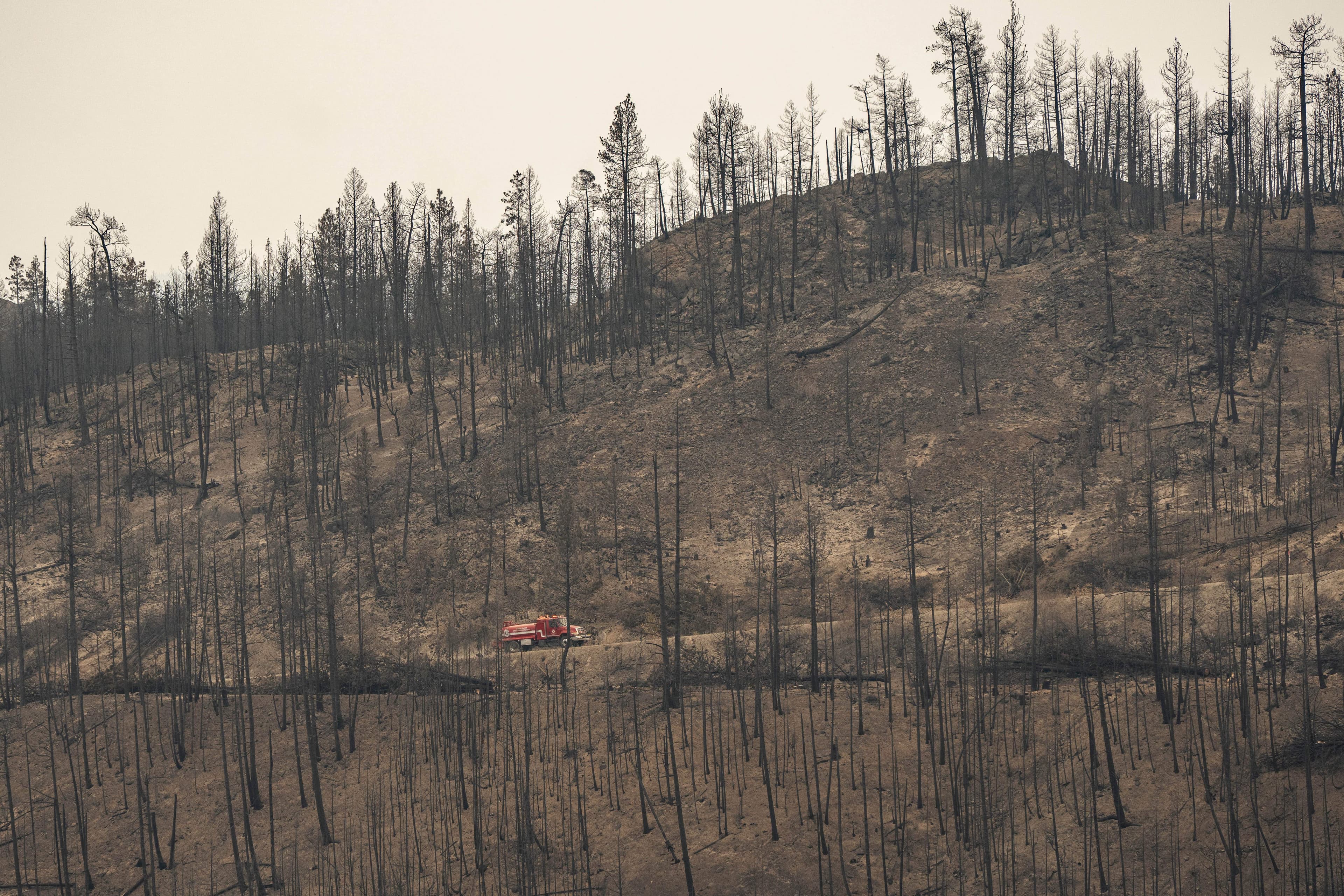 Questions raised about B.C.’s approach to prescribed burns ahead of wildfire season
