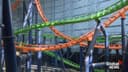 Galaxyland’s new Nerf roller-coaster nearly complete at West Edmonton Mall
