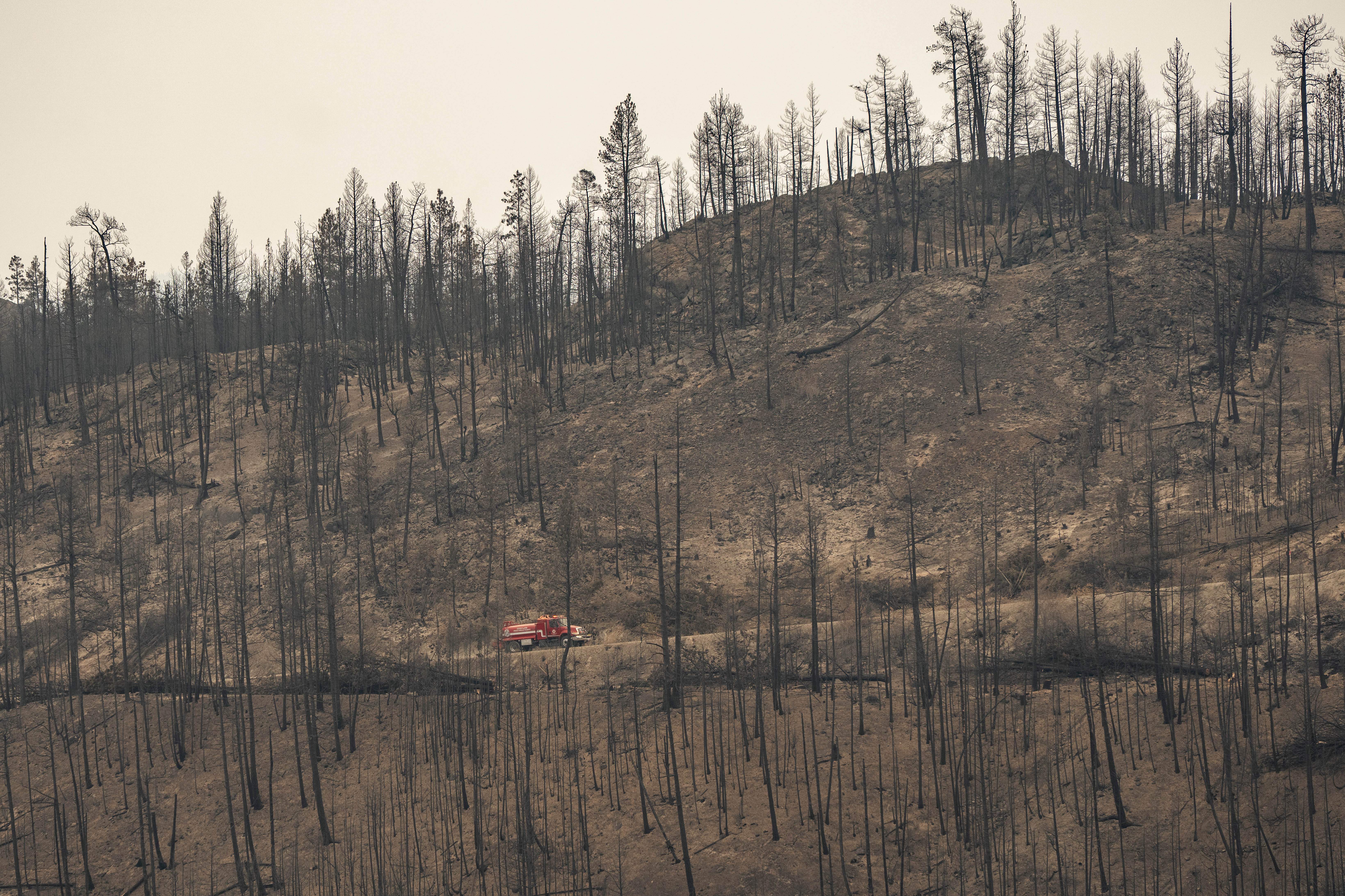 Questions raised about B.C.’s approach to prescribed burns ahead of wildfire season