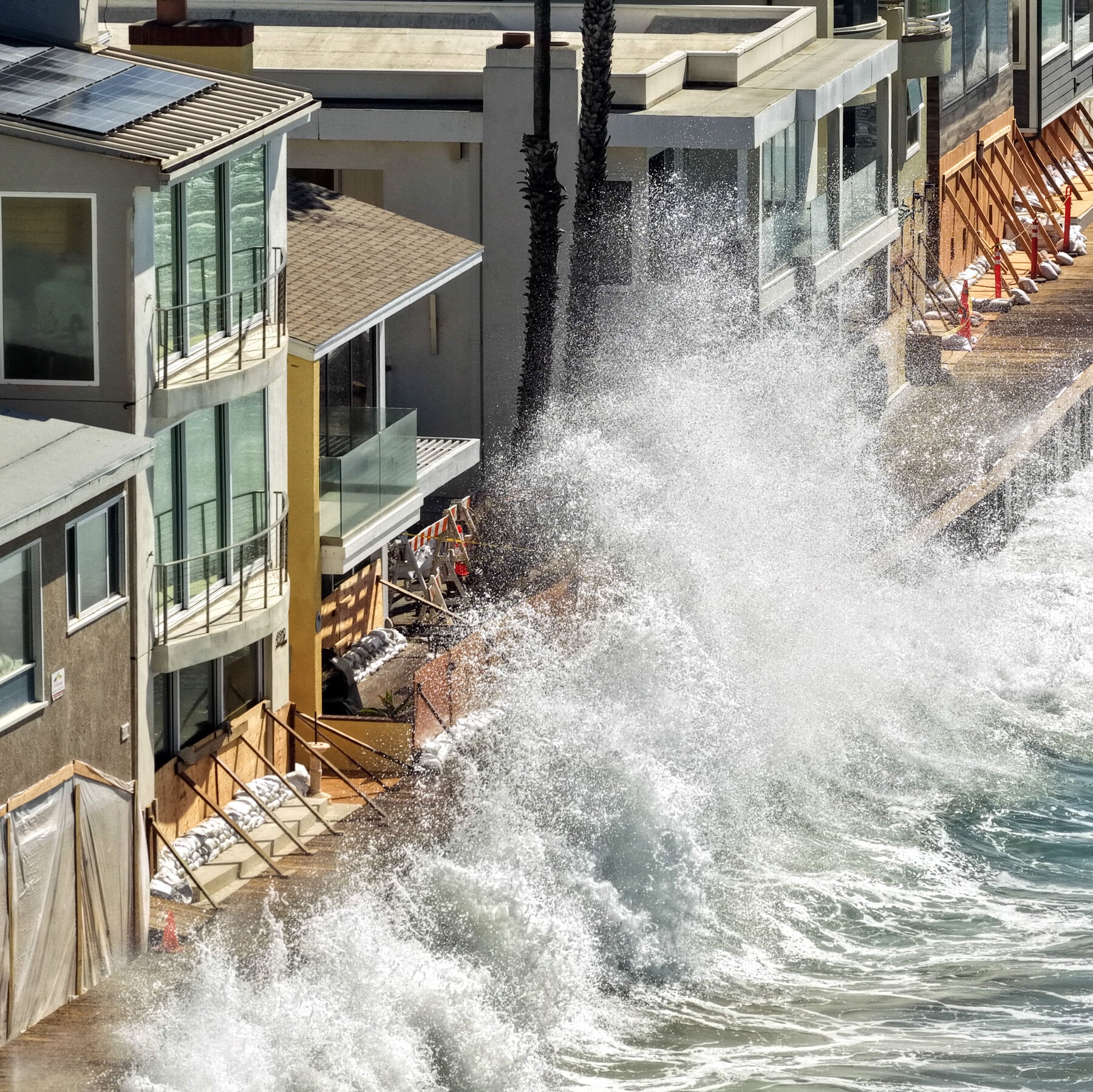 See How El Niño Is Washing Ashore in California